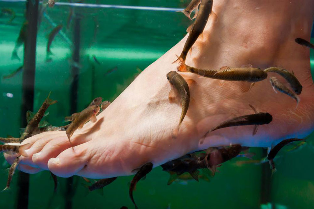 Psoriasis – Types, causes and popular treatments